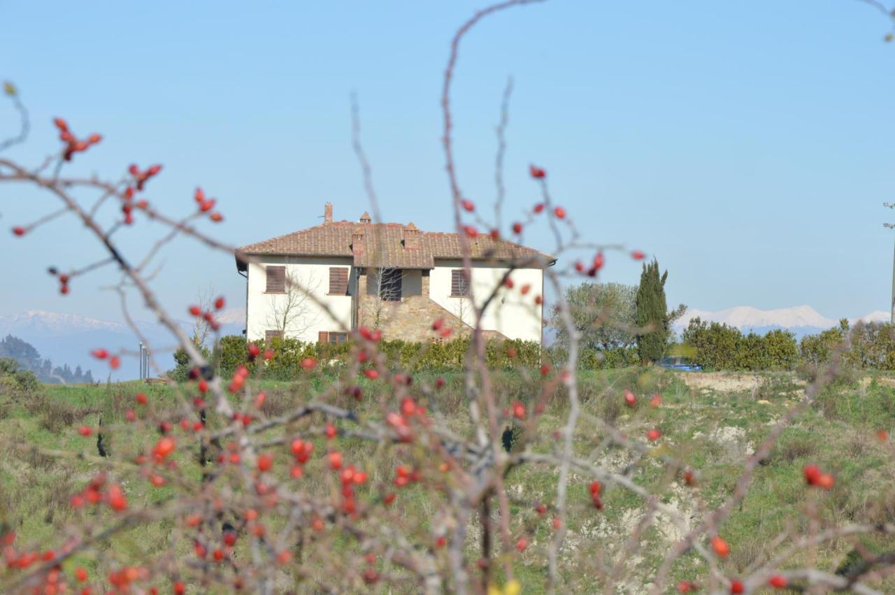 Ferienwohnung Agriturismo Corte Dainelli Montaione Exterior foto